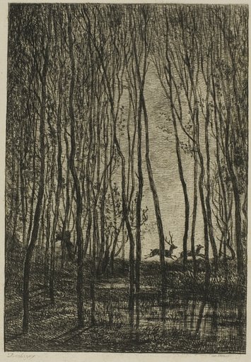 Stags in the Woods