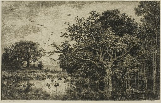 The Marsh with Storks