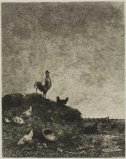 Dawn (The Cock's Crow)