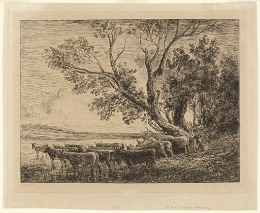 The Ford