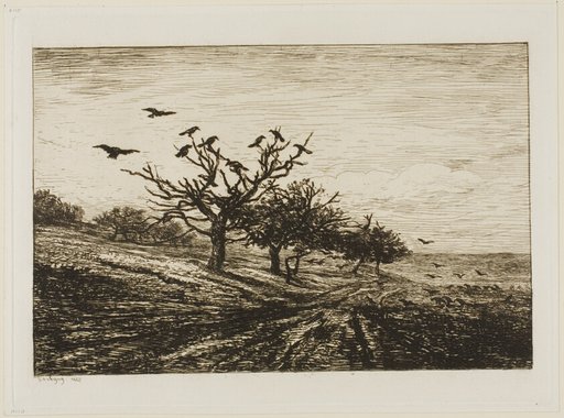 Crows in a Tree