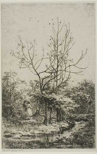 The Orchard