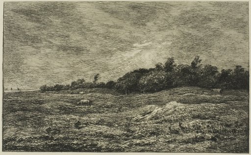Le Pré des Graves à Villerville (Calvados)