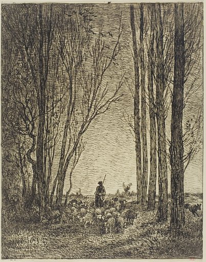 Return of the Flock