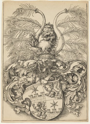 Coat of Arms of Wilhelm and Wolfgang Rogendorf
