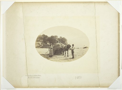 On the Slopes of Cader-Idris, The Last Load of Hay