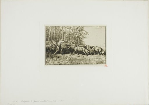 Herd of Swine Coming Out of a Wood