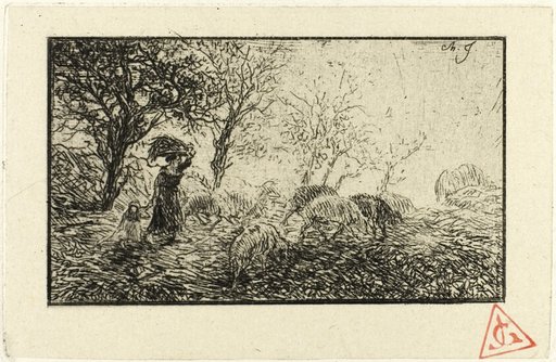 Landscape and Animals