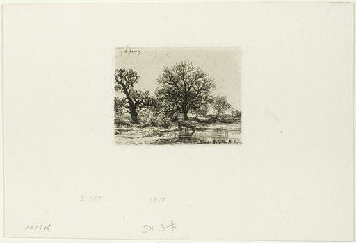 Trees and Cows near a Pond