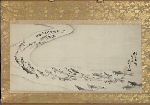 School of Fish