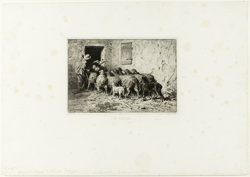 The Sheep Coming Home
