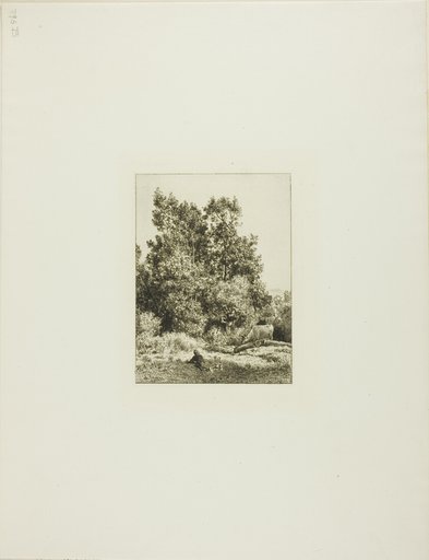Landscape with Cowherd