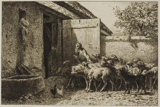 Shepherdess