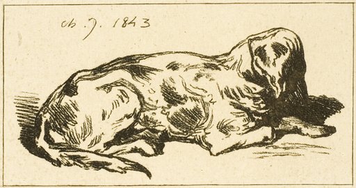 Lying Dog