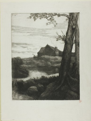 Farm with Large Tree