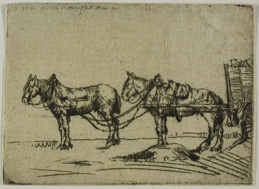 Two Horses
