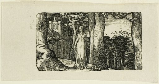 The Lady and the Rooks