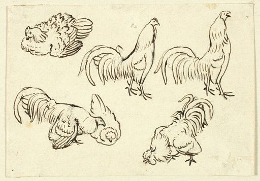Sketches of Poultry