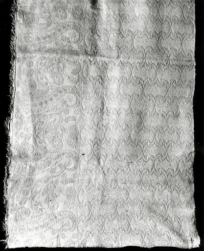 Panel of a Skirt