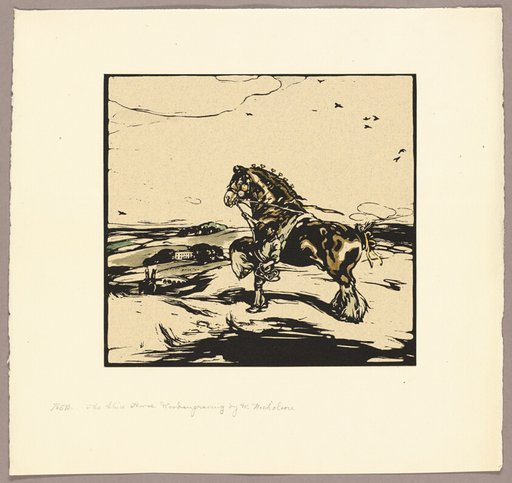 The Shire Horse