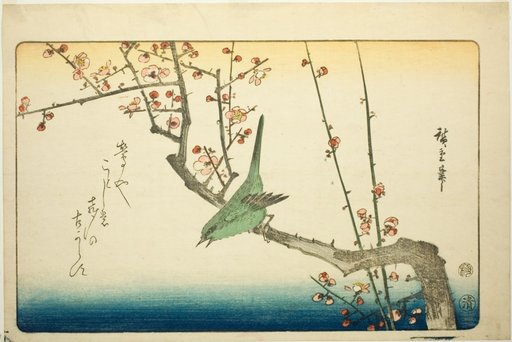 Bush warbler on plum branch