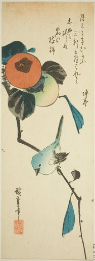 Japanese white-eye and persimmons
