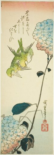 Green birds and hydrangeas
