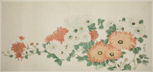 Chrysanthemums