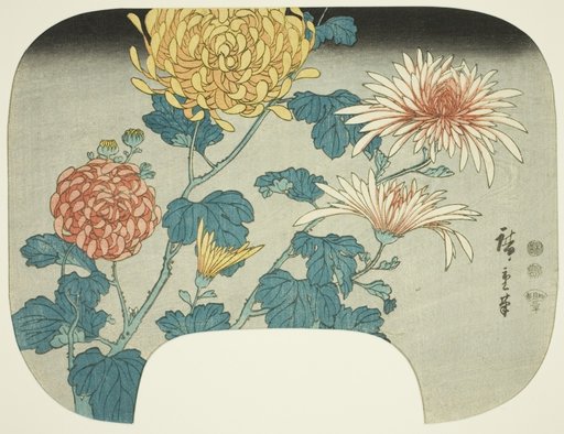 Chrysanthemums