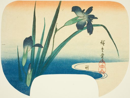 Iris and stream
