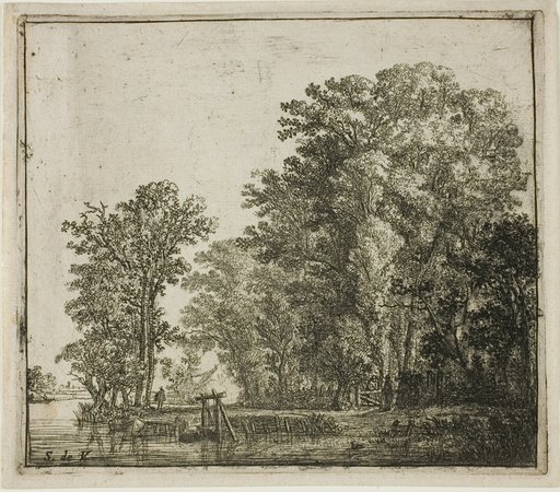 Woods Near a Canal