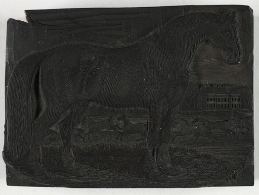 Woodblock for The Black Horse, from a General History of Quadrupeds