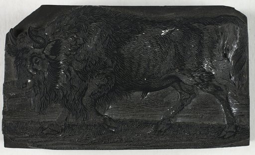 Woodblock for The Urus or Wild Bull, from A General History of Quadrupeds