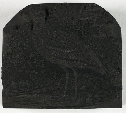 Woodblock for The Great Plover, from A History of British Birds