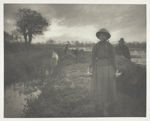 Poling the Marsh Hay
