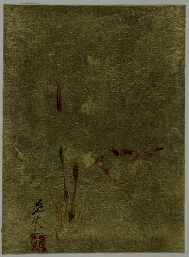 Bird and Cattails