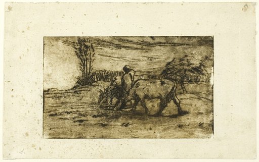 The Two Cows