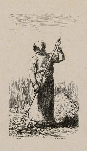 Woman Raking Hay