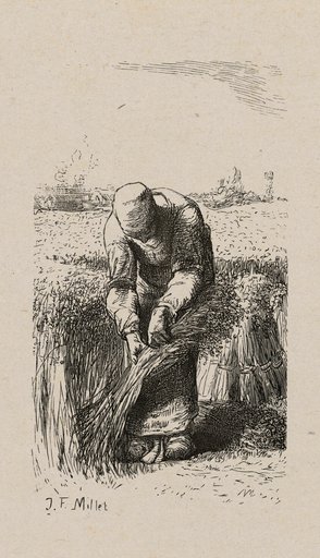 Woman Pulling Flax