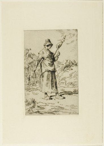 The Spinner