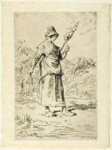 The Spinner