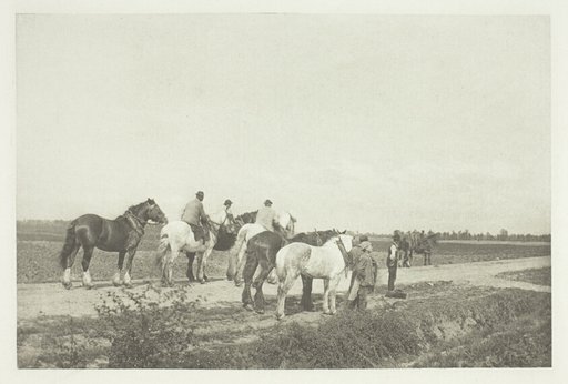 Homewards from Plough