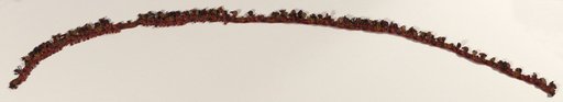 Border Fragment