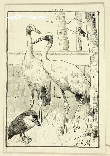 Four Birds in Landscape