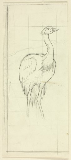 Standing Bird