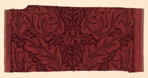 Acanthus