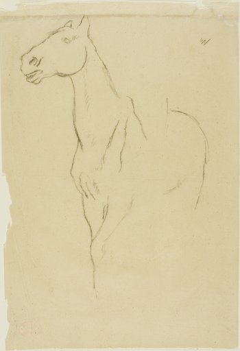 Horse Turned Three-Quarters