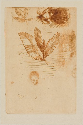 Sketches