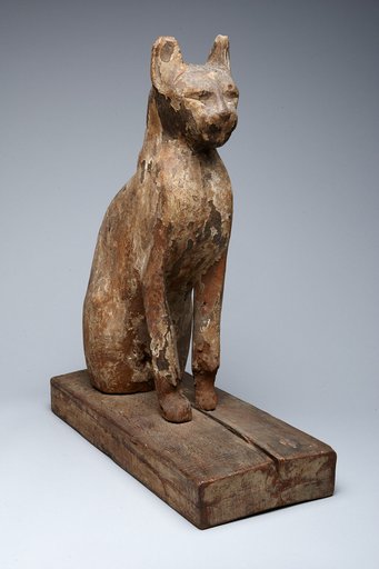 Cat Coffin
