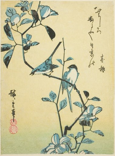 Birds on camellia branch